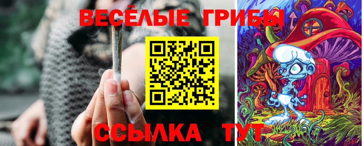 Галлюциногенные грибы Psilocybe Видное